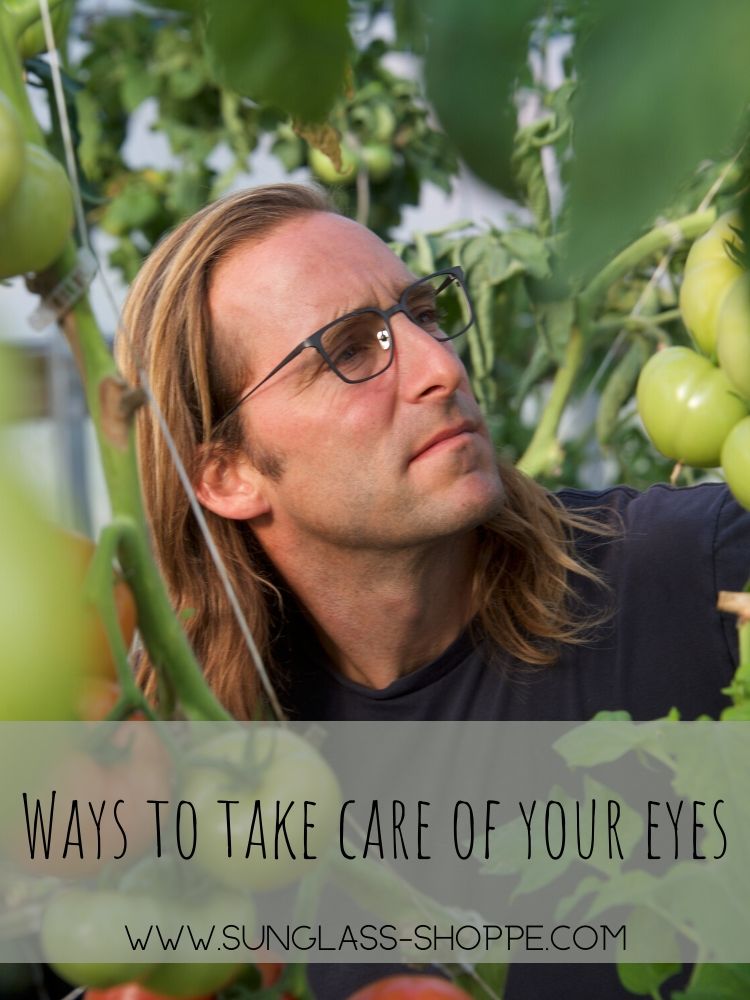 Ways to Take Care of Your Eyes from The Sunglass Shoppe in Petoskey, Traverse City, and Charlevoix, MI