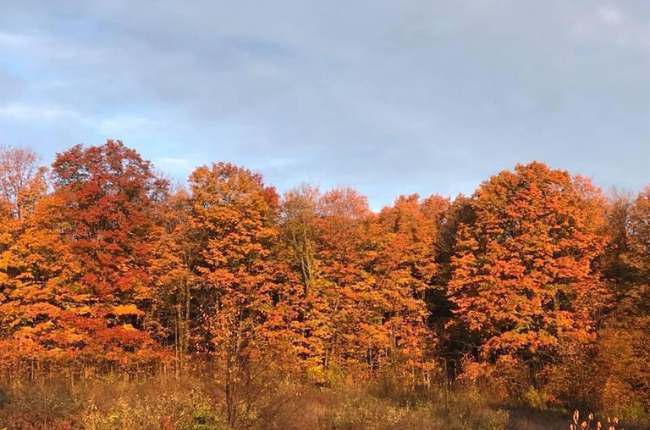 It's now September, the weather is cool off, and that means you need some Northern Michigan Fall Activities to enjoy!