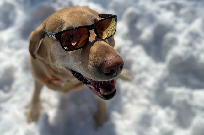 You may not see as many people wearing sunglasses in the winter as you do in the summer, but sunglasses protect your eyes year-round. Don’t forget, the sun reflects off the snow and ice too.